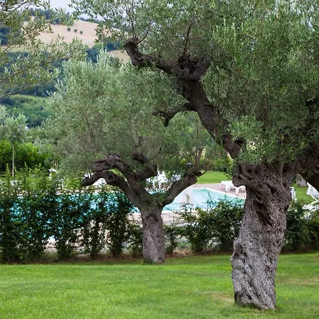 Aparthotel Il Giuggiolo - Homes *